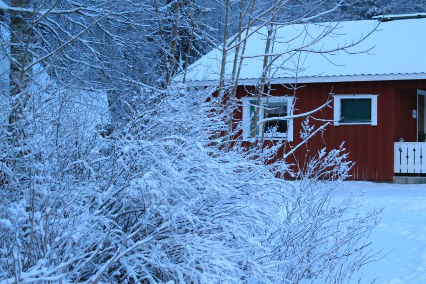 Anwesen mit eigenem Garten und Grill - foto 12