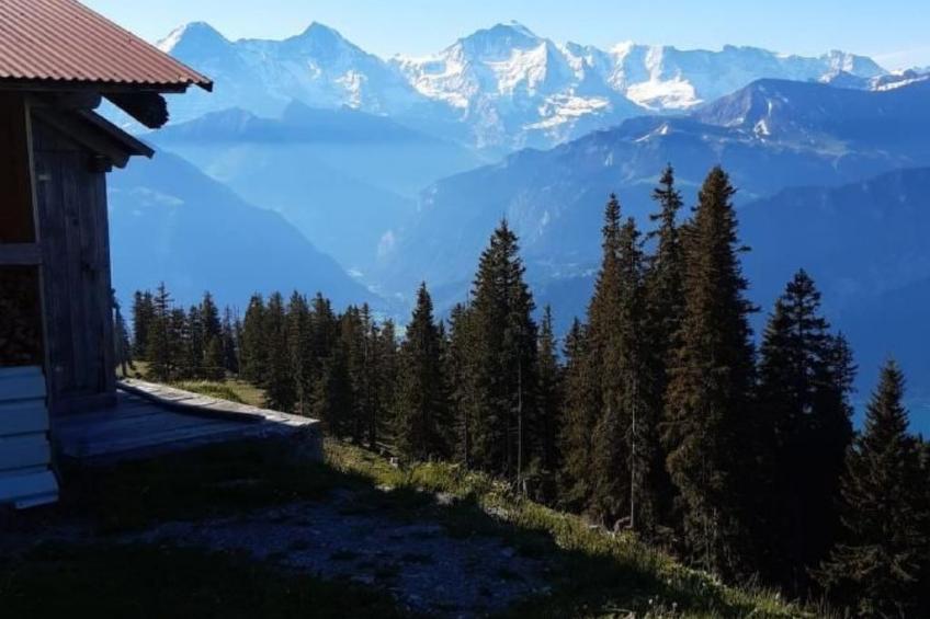 Chalet Lilo Big view - foto 28