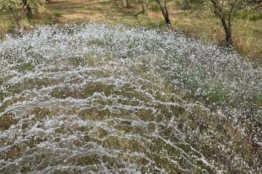 Tolles Reihenhaus im Olivenhain - foto 40