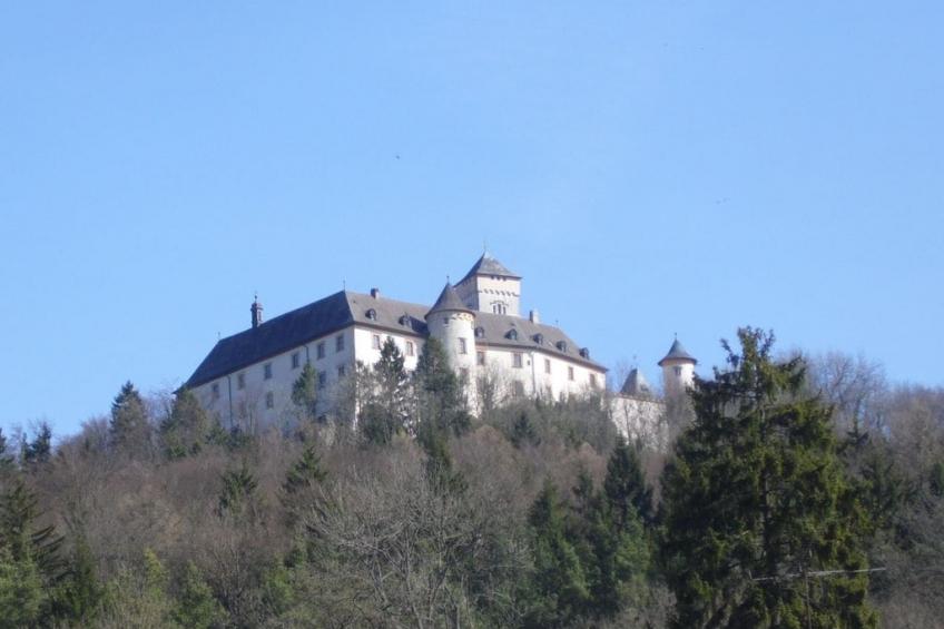 181340 - foto 21