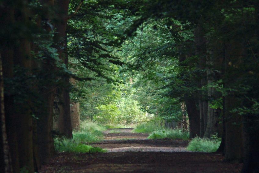 t Kaatsheuveltje 2 - foto 5