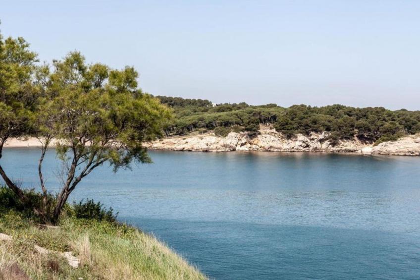 Nomad Harmonia - foto 14