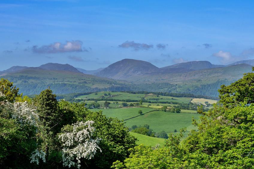 Red Kites Retreat - foto 20