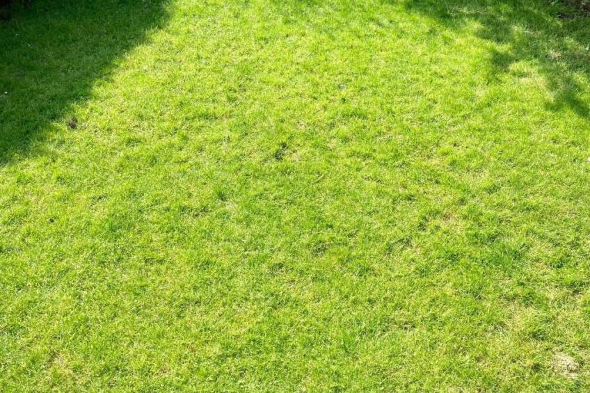 160 Olivia - foto 19