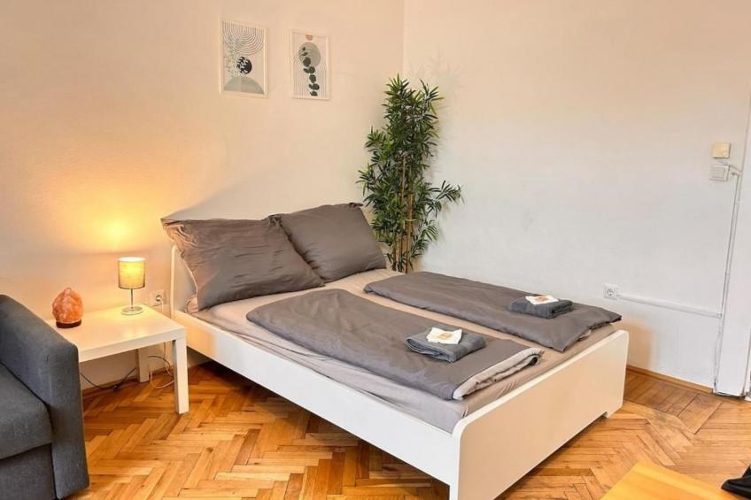 Spacious Apartment