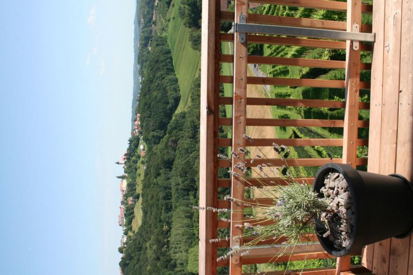 Rebenchalet - foto 43