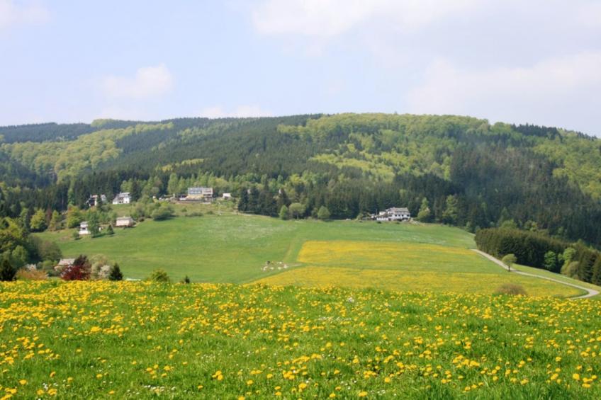 Am Iberg - foto 39