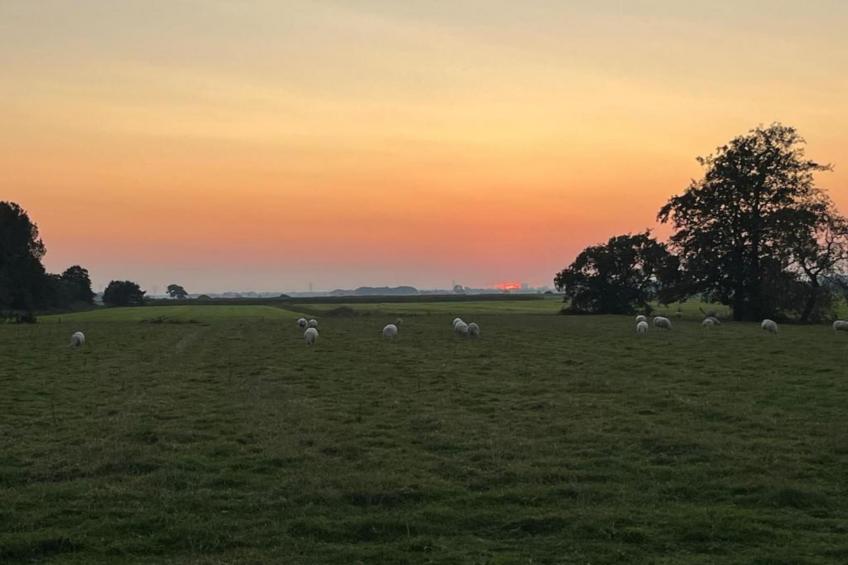 Wad'n Festijn - foto 40