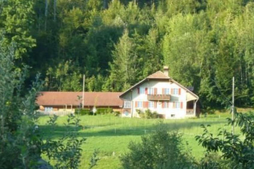 FeWo Südhang - foto 2