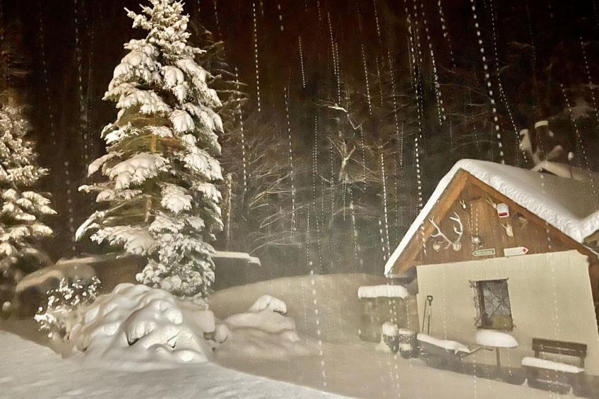 Jägerhaus - foto 18