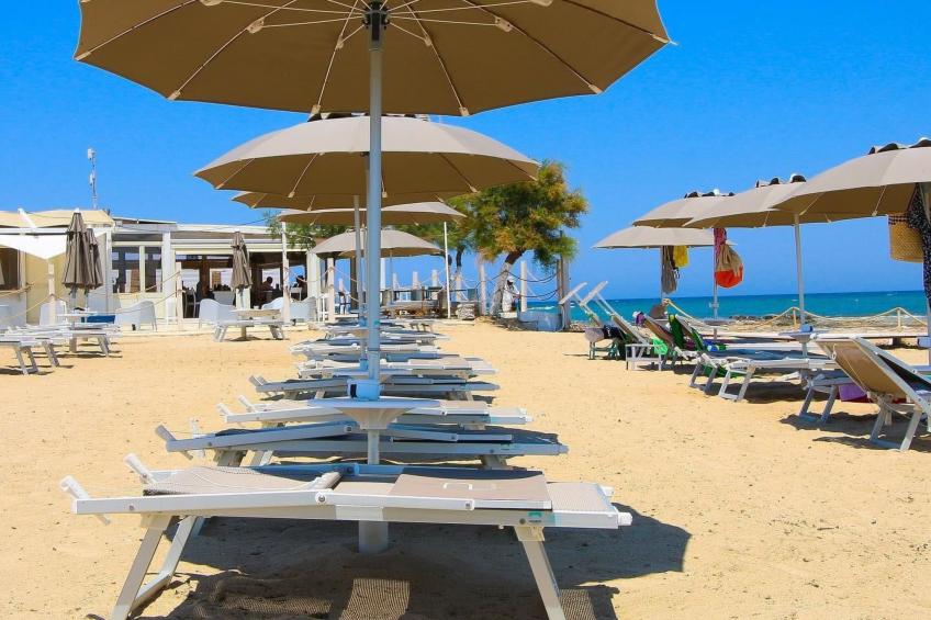 Flaches Meer aus Kiefernholz - foto 21