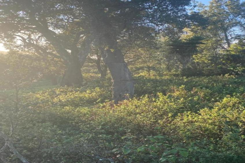 Casa do Pomar - foto 36