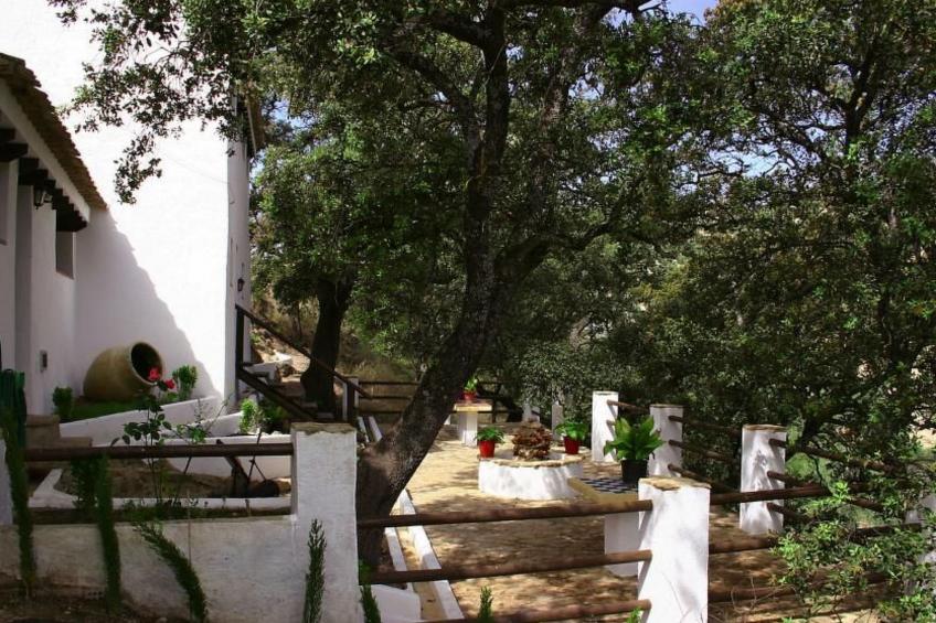 Finca "Casa Vieja" mit Bergblick - foto 5