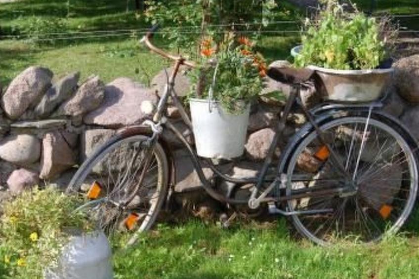 Alleenwiesen - foto 14