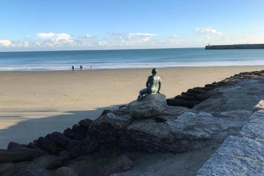 Golden Swan House - foto 37