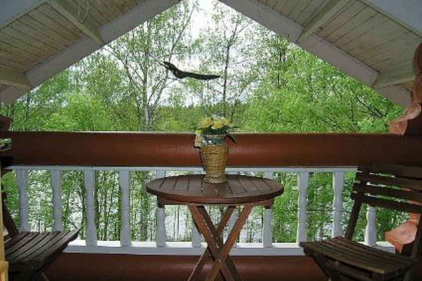 Koivurinne - foto 15