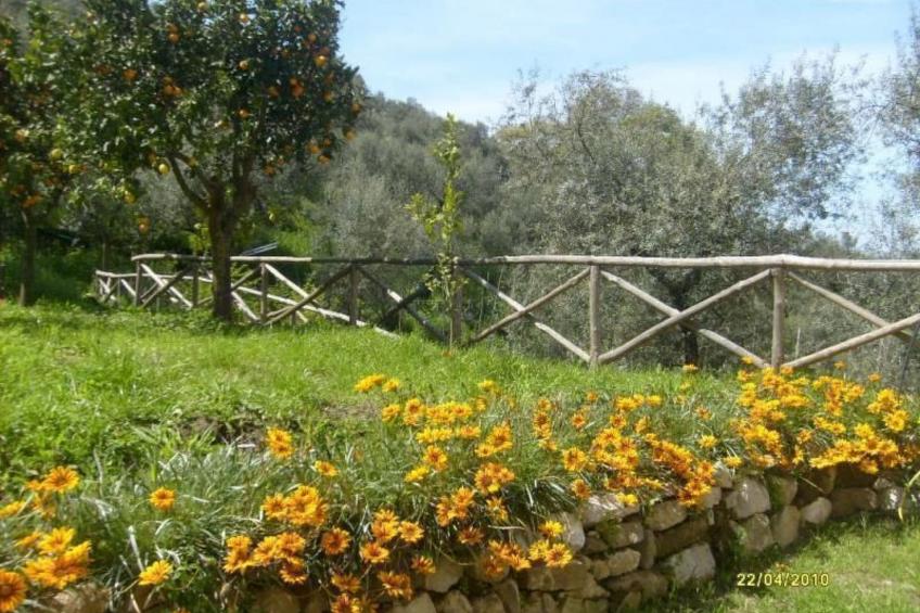 Studio" mit Blick auf den Golf von Neapel - foto 9