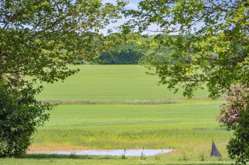 "Malinda" - 500m from the sea in SE Jutland - foto 10