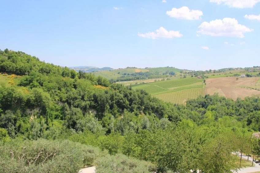 Casa Sacciofa in Monte Rinaldo - foto 26