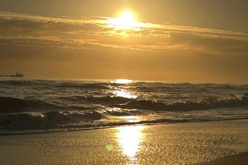 in der Nähe des Golfplatzes - foto 4