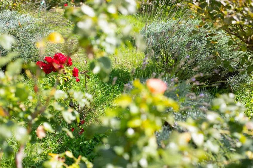 Charmant Mas Provençal avec piscine et jacuzzis - foto 107