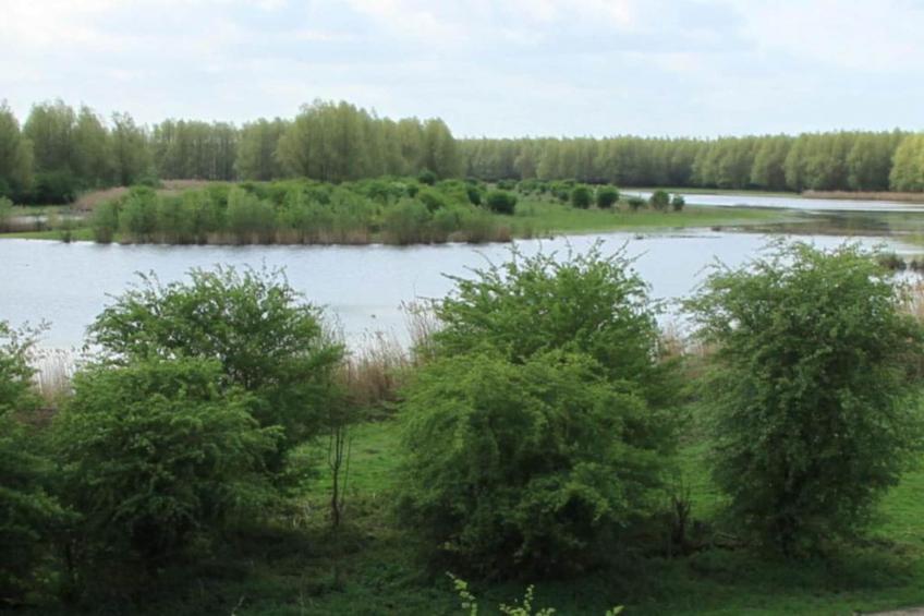 Glamping de Parel 3 - foto 31