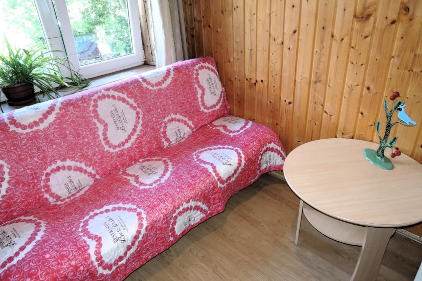 Pod świerkami pokój nr 3 dla 1 osoby - foto 8