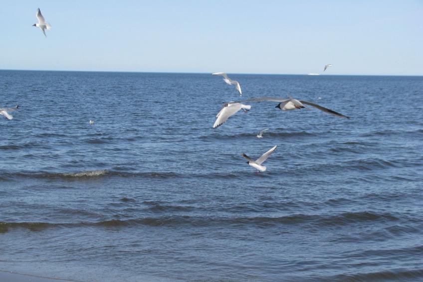 Moderne Ferienwohnung mitten in Greifswald - foto 26