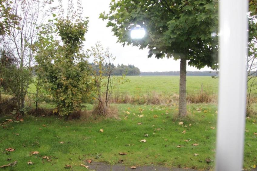 De Drentsche Patrijs - foto 38