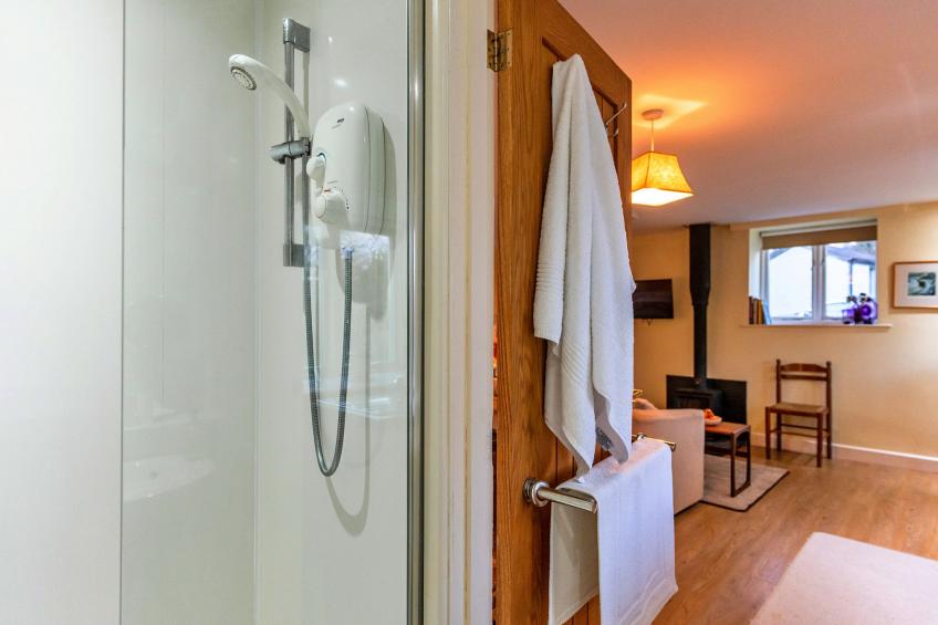 Jenny Wren - foto 16