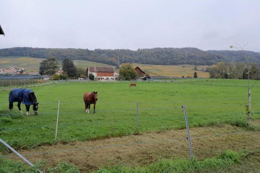 in Bauernhof - foto 23