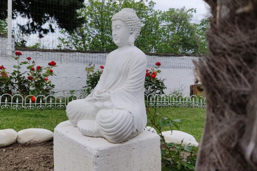 'Dear Peace on the Hill - foto 17