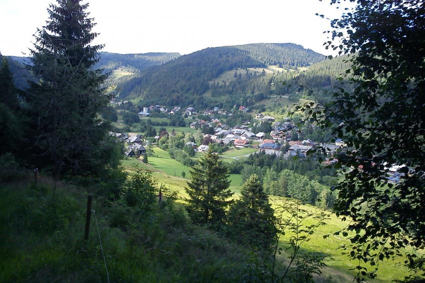 Schwarzwaldhaus St. Blasien, direkt am Bach - foto 51