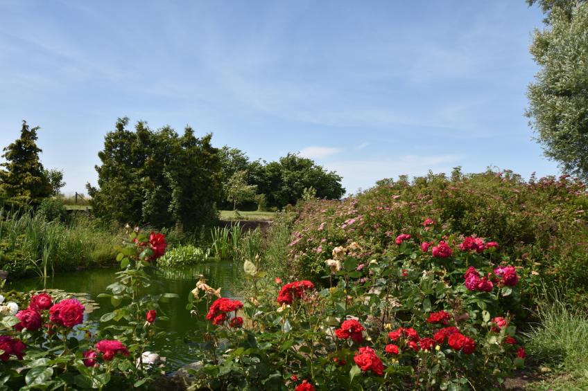 Leuchtturm XL - foto 18