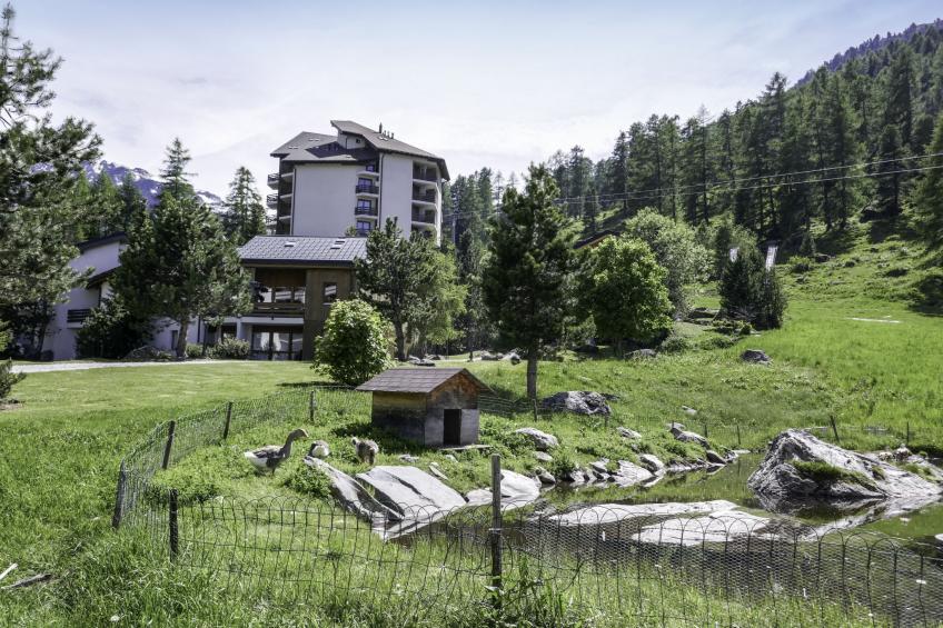 Mont-Fort 70 - foto 28