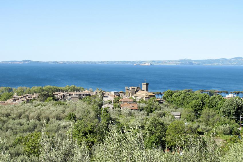 Agriturismo La Capraccia (BOL333) - foto 33