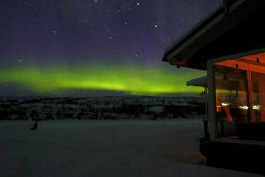 Karetörmä - foto 41