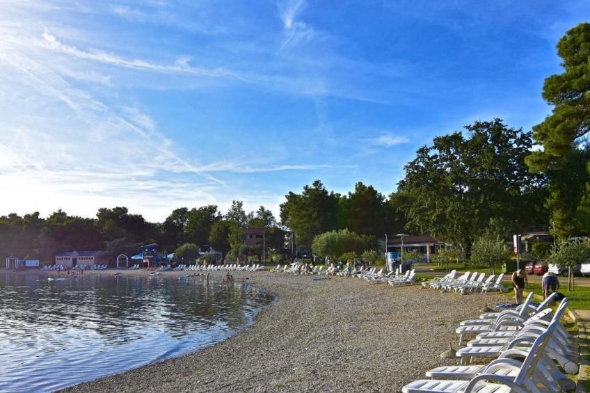 in Murine mit Großer Terrasse - foto 23