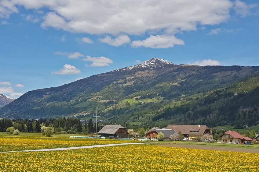 Aineckblick - foto 40