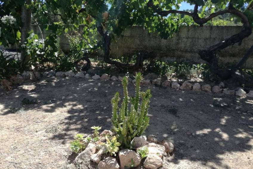 Träumende Aussichten im Douro - foto 38