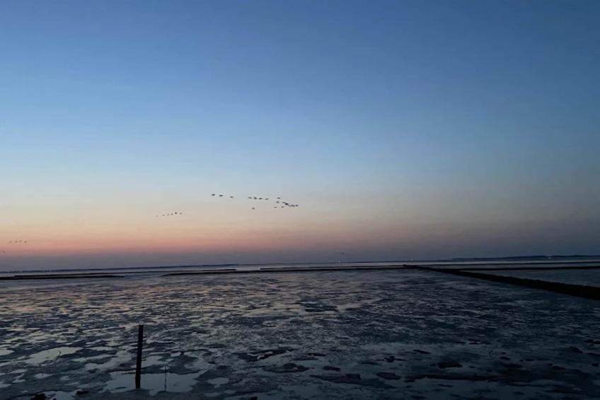 Bungalow, Dornumersiel - foto 40