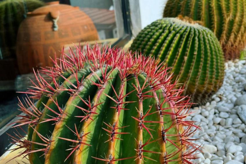 Haus mit Jacuzzi, Blick auf Berge, Meer und Entspannung - foto 39