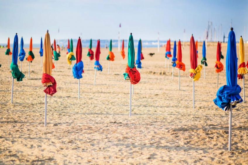 ⛵ Les Petites Roches - Accès Plage Privé - foto 18