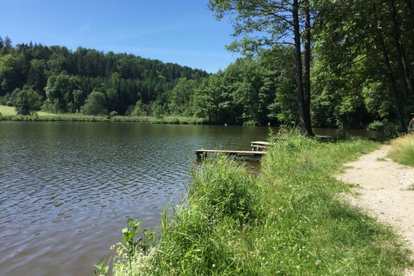 mit Panoramablick - foto 22