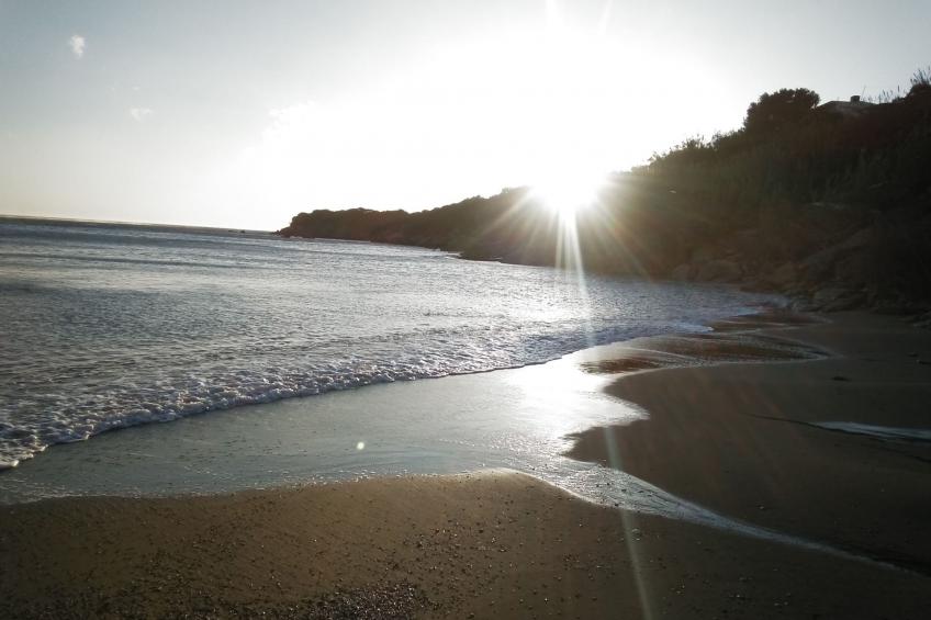 Wohnung mit Gartenblick, Kreta, Ierapetra - foto 46