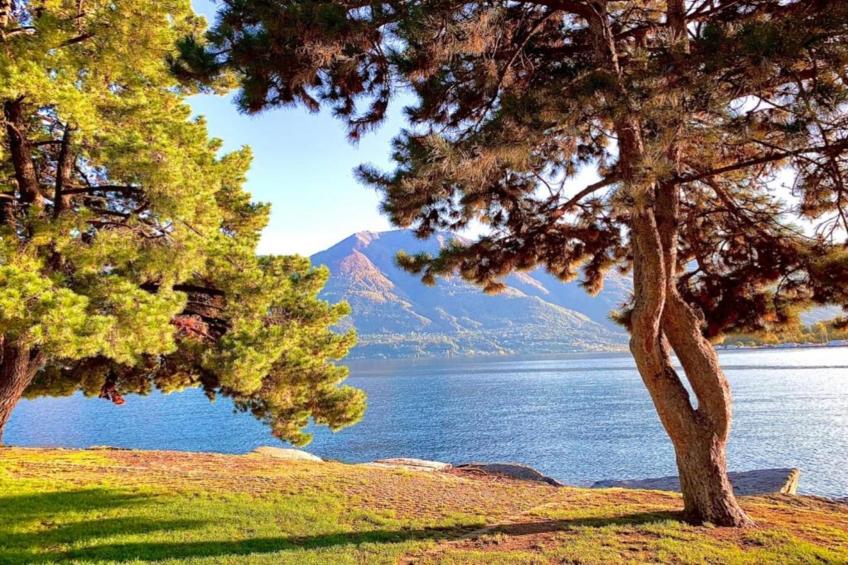 Appartamento Van Gogh - foto 33