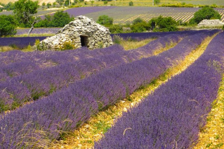 Au château près du Ventoux III - foto 30