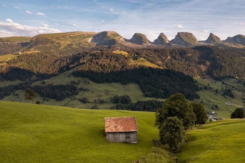 Haldenhof Schwizer - foto 30