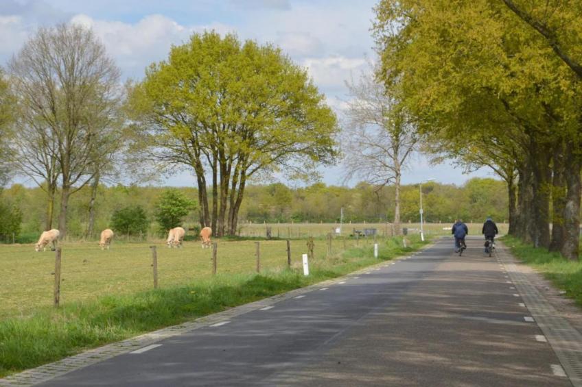 Wezel no 17 - foto 27