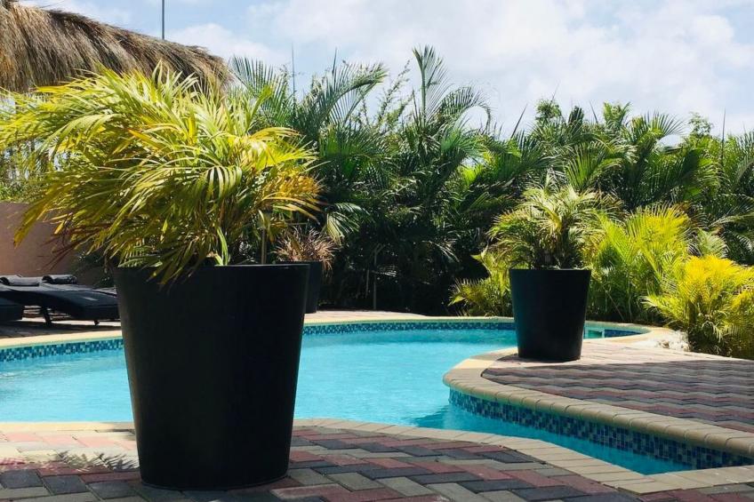 Wohnung in Cas Grandi mit Schönem gemeinsamem Pool - foto 6